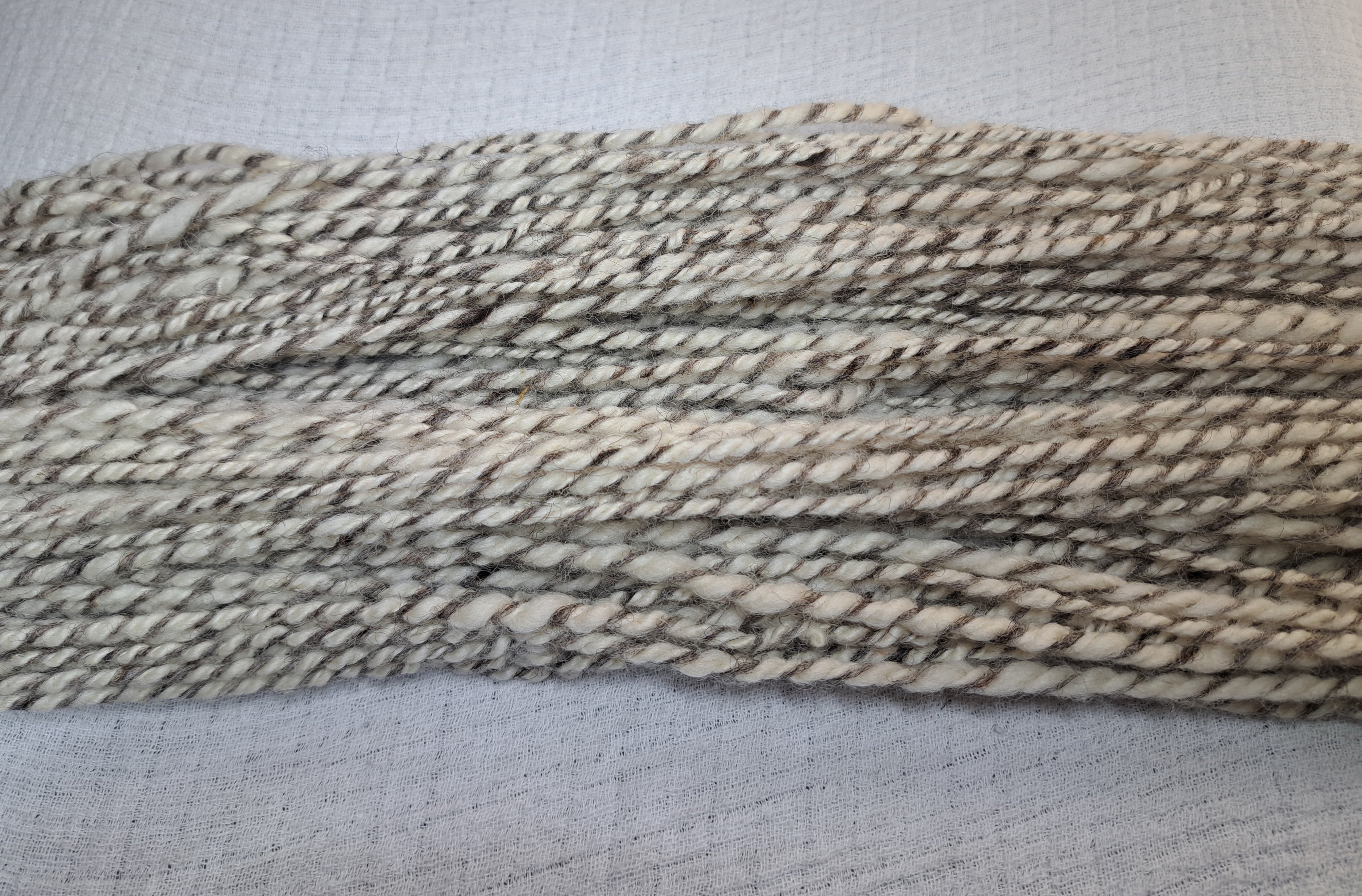 Calico Earth - 2 tone cream and mid brown